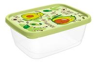 Контейнер д/прод.прям.0,85л с декор.(салат.) 221181620/04 /20/