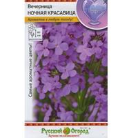 Вечерница Ночная красавица НК Ц