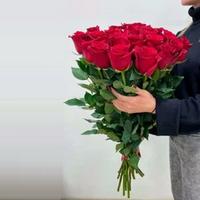 Роза Голландская 45см
