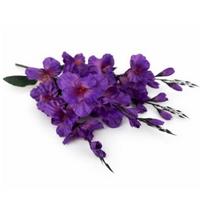 Букет"Гладиолуса"Дебют Н58 В10101