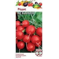 Редис Аскания Гавриш Ц /20/