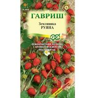 Земляника Руяна безусая Гавриш Ц /10/