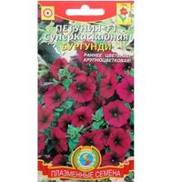 Петуния суперкаскад бургунди F1 10шт.