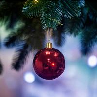 Шар Т173-3 6шт 6см (глянц.) красн./120/