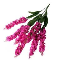 Букет люпин 7г