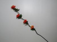 Букет роз 6г. Н35 4182