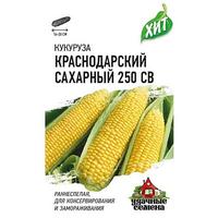Кукуруза Краснодарский Сахарный (метал.) Гавриш Ц /10/