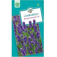 Лаванда Вознесенская Гавриш Ц /10/