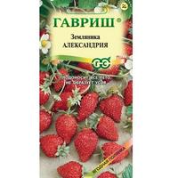 Земляника Александрия Гавриш Ц /10/