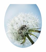 Сиденье д/унитаза мягк.SweetSun Comfort Fotoprint B-34 SWS.07.103-311B34 /17/