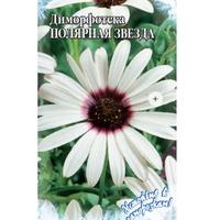 Диморфотека Полярная звезда Одн.Цв/П (Гавриш) 0,5г