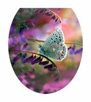 Сиденье д/унитаза мягк.SweetSun Comfort Fotoprint B-12 SWS.07.103-311B12 /17/