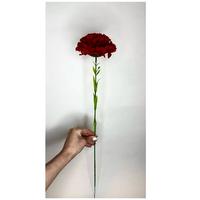 Гвоздика одиночка бархат