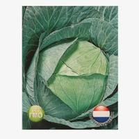 Капуста б/к Мегатон F1 10шт