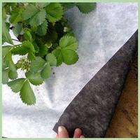 Спанбонд-80 перфорир.мульча,1,06*20м бело-черн.минирулон Агротекс Профф /1/