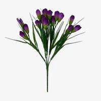 Крокус высокий 5вет.